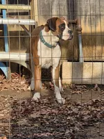 processed/62fc126e-1ad3-4e4f-8a82-9ebe99a23678/listing/9d79e1b5-4f98-4fa6-936d-79f26e23a372/050c15c9-992d-4246-9829-dbe662305975