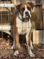 processed/62fc126e-1ad3-4e4f-8a82-9ebe99a23678/listing/9d79e1b5-4f98-4fa6-936d-79f26e23a372/1854ae9c-6a1a-4db3-ab5b-54e58156c153