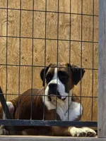 processed/62fc126e-1ad3-4e4f-8a82-9ebe99a23678/listing/9d79e1b5-4f98-4fa6-936d-79f26e23a372/33f00876-93f8-4af6-9df9-2ad85ba7a498