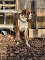 processed/62fc126e-1ad3-4e4f-8a82-9ebe99a23678/listing/9d79e1b5-4f98-4fa6-936d-79f26e23a372/37b30c15-e3cd-48dc-a733-ba4b88a05e14