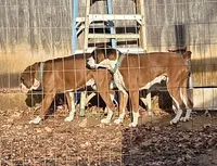 processed/62fc126e-1ad3-4e4f-8a82-9ebe99a23678/listing/9d79e1b5-4f98-4fa6-936d-79f26e23a372/68f4c136-aae9-4c59-adbd-5a0801a90f4a