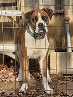 processed/62fc126e-1ad3-4e4f-8a82-9ebe99a23678/listing/9d79e1b5-4f98-4fa6-936d-79f26e23a372/f34de96c-4373-457c-80b9-4318c9580413