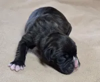 processed/62fc126e-1ad3-4e4f-8a82-9ebe99a23678/listing/ce15d6a4-f47f-46ed-9cb0-862dd3adab4d/129dc32b-aa79-4406-b18e-fd48a71ae113