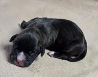 processed/62fc126e-1ad3-4e4f-8a82-9ebe99a23678/listing/ce15d6a4-f47f-46ed-9cb0-862dd3adab4d/6a344b60-7388-4ee6-89d7-d6c4dfe93fe7