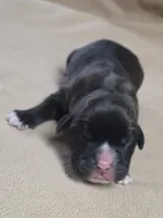 processed/62fc126e-1ad3-4e4f-8a82-9ebe99a23678/listing/ce15d6a4-f47f-46ed-9cb0-862dd3adab4d/727fbdea-a5a8-416e-ae33-1ba737e5b19f