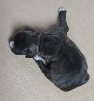 processed/62fc126e-1ad3-4e4f-8a82-9ebe99a23678/listing/ce15d6a4-f47f-46ed-9cb0-862dd3adab4d/94fa1e6f-506c-4462-8366-2a103e2148cf