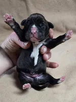 processed/62fc126e-1ad3-4e4f-8a82-9ebe99a23678/listing/ce15d6a4-f47f-46ed-9cb0-862dd3adab4d/9ede9f30-ec8d-4f43-9acf-92fedaa2e35f