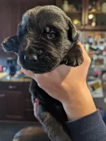 processed/62fdff52-27b3-4e99-8233-a80c0c9f3619/facility/e5ae8270-c673-4920-8ca8-bf9eae02fbb6