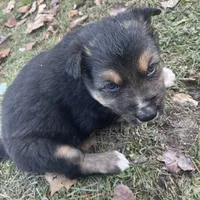 processed/63058346-fb44-4b66-bb3a-a96875b53d4b/facility/495bab76-fbc0-4a4b-a57c-c21e012fb428