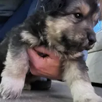 processed/63058346-fb44-4b66-bb3a-a96875b53d4b/facility/9b59bee1-e7cb-4906-84d6-ee8f8f0aa005