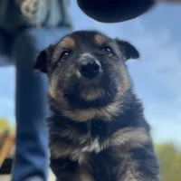 processed/63058346-fb44-4b66-bb3a-a96875b53d4b/facility/a2502a9d-4402-44fc-ba9a-92d78e4b32f1