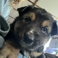 processed/63058346-fb44-4b66-bb3a-a96875b53d4b/facility/d0ca86ac-4053-46d8-939f-3a3c369f99bc