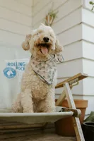 processed/6309d76a-f50c-42a8-b95f-d92899bfd327/listing/8fe91134-57b7-4a1d-803b-53de383c4923/14360e98-dd70-45e2-8053-9d5354912f27