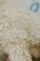 processed/6309d76a-f50c-42a8-b95f-d92899bfd327/listing/8fe91134-57b7-4a1d-803b-53de383c4923/307bd98c-9597-45bb-80aa-ad6492071b50