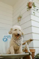 processed/6309d76a-f50c-42a8-b95f-d92899bfd327/listing/8fe91134-57b7-4a1d-803b-53de383c4923/7a01677e-da7e-47fb-9588-a201f3247bf3