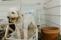 processed/6309d76a-f50c-42a8-b95f-d92899bfd327/listing/8fe91134-57b7-4a1d-803b-53de383c4923/8778a765-42f0-42ff-bce4-0904f9cc5daa