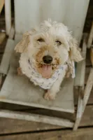 processed/6309d76a-f50c-42a8-b95f-d92899bfd327/listing/8fe91134-57b7-4a1d-803b-53de383c4923/b4003afe-52ca-43a2-a61d-49b84517c17d