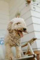 processed/6309d76a-f50c-42a8-b95f-d92899bfd327/listing/8fe91134-57b7-4a1d-803b-53de383c4923/c53dca03-fe44-4248-9d28-c4765718c246