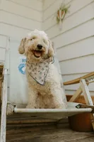 processed/6309d76a-f50c-42a8-b95f-d92899bfd327/listing/8fe91134-57b7-4a1d-803b-53de383c4923/c6c3056f-5ce7-4636-803a-6b24e25fbda5