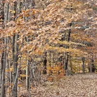 processed/63125287-7349-4c47-be70-464566c3d5a8/facility/19fbf703-6f53-42e8-b879-0b9c654248fc