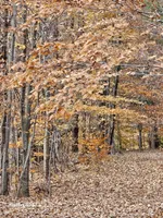 processed/63125287-7349-4c47-be70-464566c3d5a8/facility/19fbf703-6f53-42e8-b879-0b9c654248fc