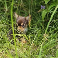 processed/63125287-7349-4c47-be70-464566c3d5a8/facility/515376d5-00a0-4349-b23f-e909513289f4