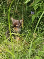 processed/63125287-7349-4c47-be70-464566c3d5a8/facility/515376d5-00a0-4349-b23f-e909513289f4