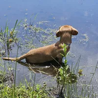 processed/63125287-7349-4c47-be70-464566c3d5a8/facility/8c44120f-5215-4e5f-b4f7-390e2dcf2870