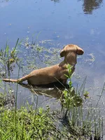 processed/63125287-7349-4c47-be70-464566c3d5a8/facility/8c44120f-5215-4e5f-b4f7-390e2dcf2870