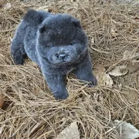 processed/63125287-7349-4c47-be70-464566c3d5a8/facility/8fcb2dff-1559-4a90-9258-edb6eba1d20c