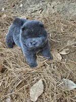 processed/63125287-7349-4c47-be70-464566c3d5a8/facility/8fcb2dff-1559-4a90-9258-edb6eba1d20c