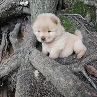 processed/63125287-7349-4c47-be70-464566c3d5a8/facility/a2f48039-1bd3-4f51-b863-12536147fb7a