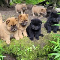 processed/63125287-7349-4c47-be70-464566c3d5a8/facility/bec4dc5f-f699-4f04-81ac-a1d40e82aeed