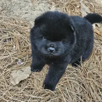 processed/63125287-7349-4c47-be70-464566c3d5a8/facility/ed22a248-489f-4687-9f15-4c568068dbc4