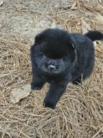 processed/63125287-7349-4c47-be70-464566c3d5a8/facility/ed22a248-489f-4687-9f15-4c568068dbc4