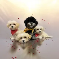 processed/63146874-0990-40bd-af4c-d85da3c306d9/facility/b0cc262b-e65d-4bc4-8ef8-cde841a53426