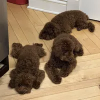 processed/63146874-0990-40bd-af4c-d85da3c306d9/facility/c0a22314-060d-4312-b27b-b4d2ecb56667