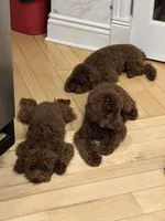 processed/63146874-0990-40bd-af4c-d85da3c306d9/facility/c0a22314-060d-4312-b27b-b4d2ecb56667