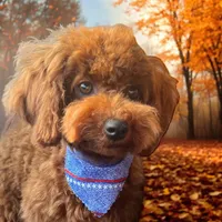 processed/63146874-0990-40bd-af4c-d85da3c306d9/facility/c5797b5b-00b3-4037-b391-afcff3dbff67