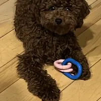 processed/63146874-0990-40bd-af4c-d85da3c306d9/facility/f578560d-2137-4ae2-a0c0-00a69db81a32