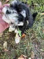 processed/63146874-0990-40bd-af4c-d85da3c306d9/listing/725043fe-ad21-4b2a-9acb-e94b1ae86245/34ea9b33-8084-4a72-892c-64b310d23e9b