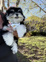 processed/63146874-0990-40bd-af4c-d85da3c306d9/listing/725043fe-ad21-4b2a-9acb-e94b1ae86245/7a794e74-1729-436a-a8d7-9ac43bae7791