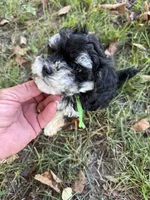 processed/63146874-0990-40bd-af4c-d85da3c306d9/listing/725043fe-ad21-4b2a-9acb-e94b1ae86245/ce529162-1474-464b-9809-630123e924df