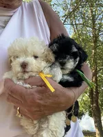 processed/63146874-0990-40bd-af4c-d85da3c306d9/listing/725043fe-ad21-4b2a-9acb-e94b1ae86245/db3d330b-ac3c-4016-b851-1e3e3add4259