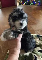 processed/63146874-0990-40bd-af4c-d85da3c306d9/listing/9baeed67-5717-4ddb-a19e-60468f910546/5c52ebc6-85cc-4533-bc7e-e1a8b49c2b7b