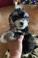 processed/63146874-0990-40bd-af4c-d85da3c306d9/listing/9baeed67-5717-4ddb-a19e-60468f910546/ae8c847e-3b42-4d71-b286-fd09c1137c0a