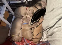 Green Collar, a female American Bully for sale in Bowling Green, KY – 3 of 5