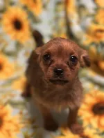 processed/6315b67d-5cb8-471f-bfcc-9ba67ac508bb/listing/3c6db93e-ecf9-4418-9402-89488c46a4d2/a796516e-77cb-45de-88a9-a7c41c864cc6