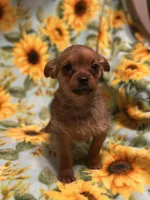 processed/6315b67d-5cb8-471f-bfcc-9ba67ac508bb/listing/3c6db93e-ecf9-4418-9402-89488c46a4d2/f3f2abf4-4210-4e48-9471-976bad2f5d0b