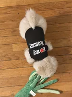 Bump, a male Maltipoo and Bichpoo for sale in Edison, NJ – Photo 2 of 7